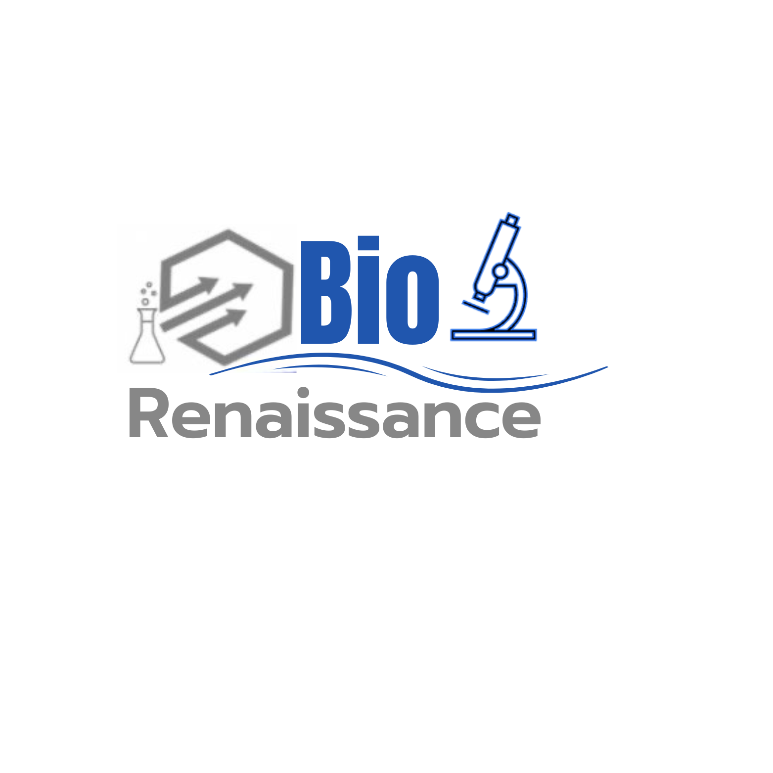 Logo Bio Renaissance - Bienveillance, Rapidité, Efficaci